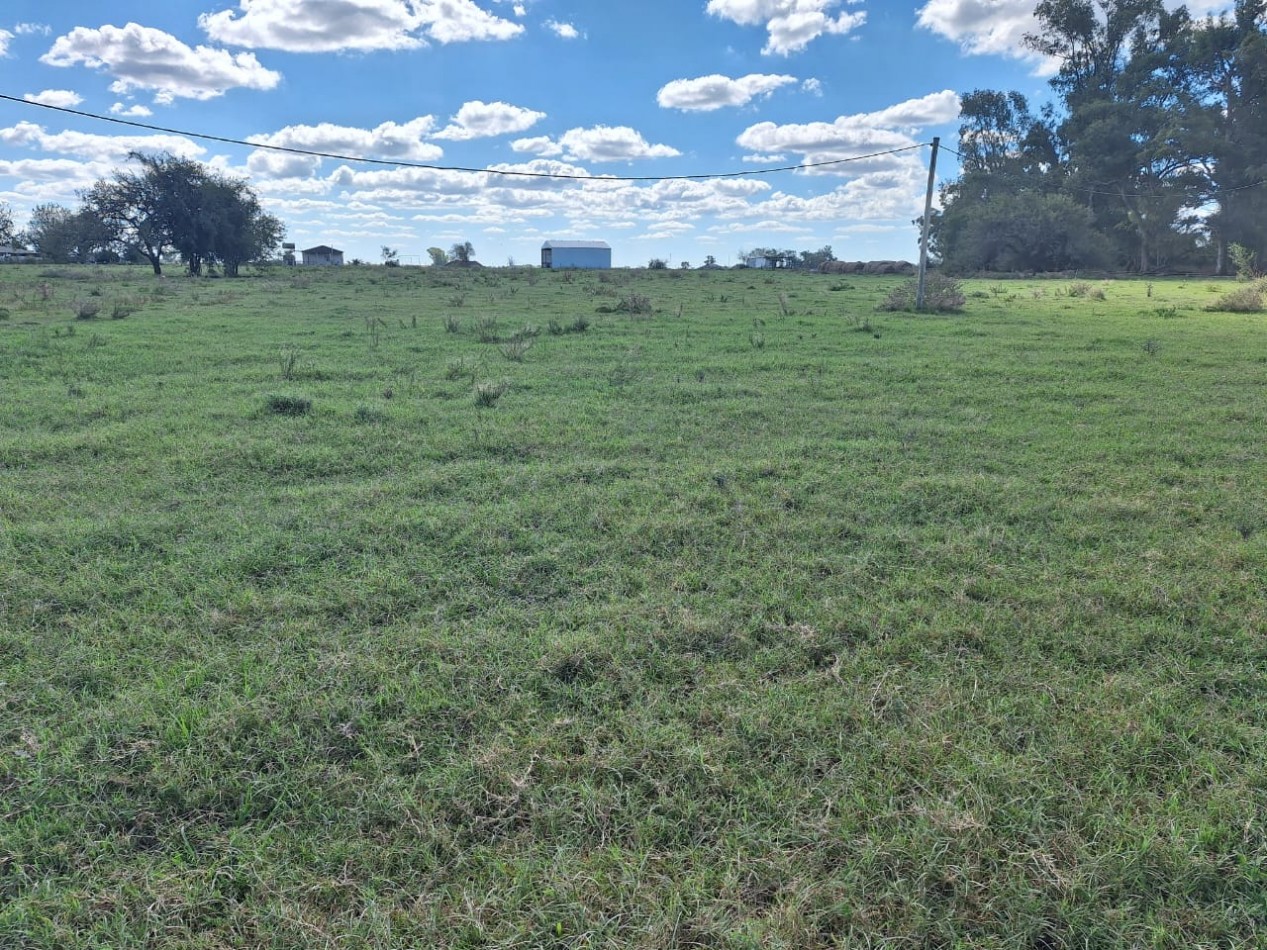VENDO PARCELA DE 1.65 HA EN VILLA ELISA