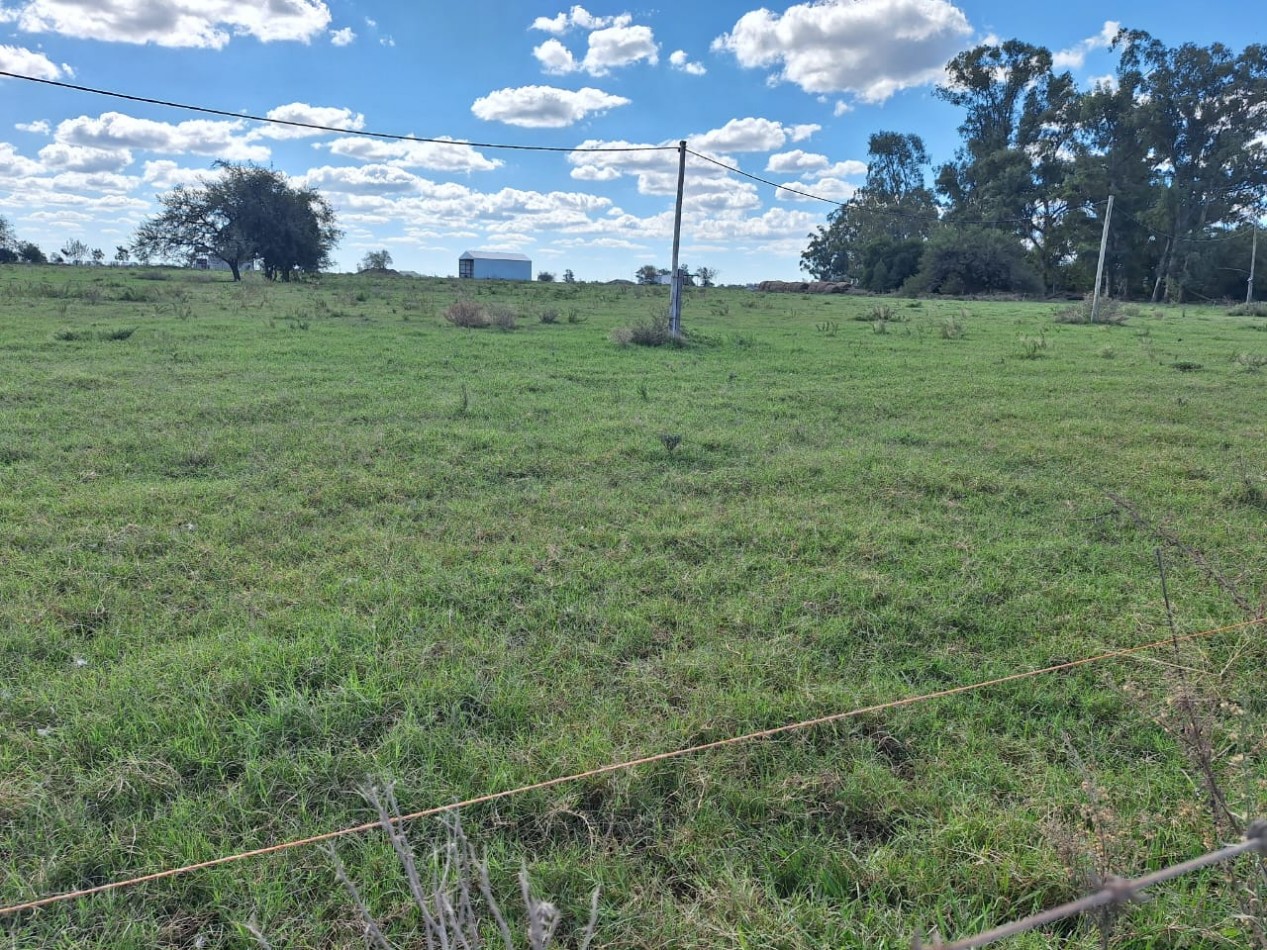 VENDO PARCELA DE 1.65 HA EN VILLA ELISA