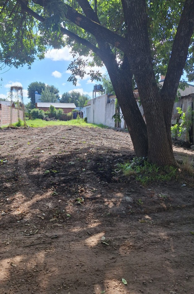 VENDO TERRENO EN VILLA ELISA