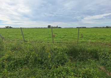 VENDO PARCELA DE 1 HA EN VILLA ELISA!!!